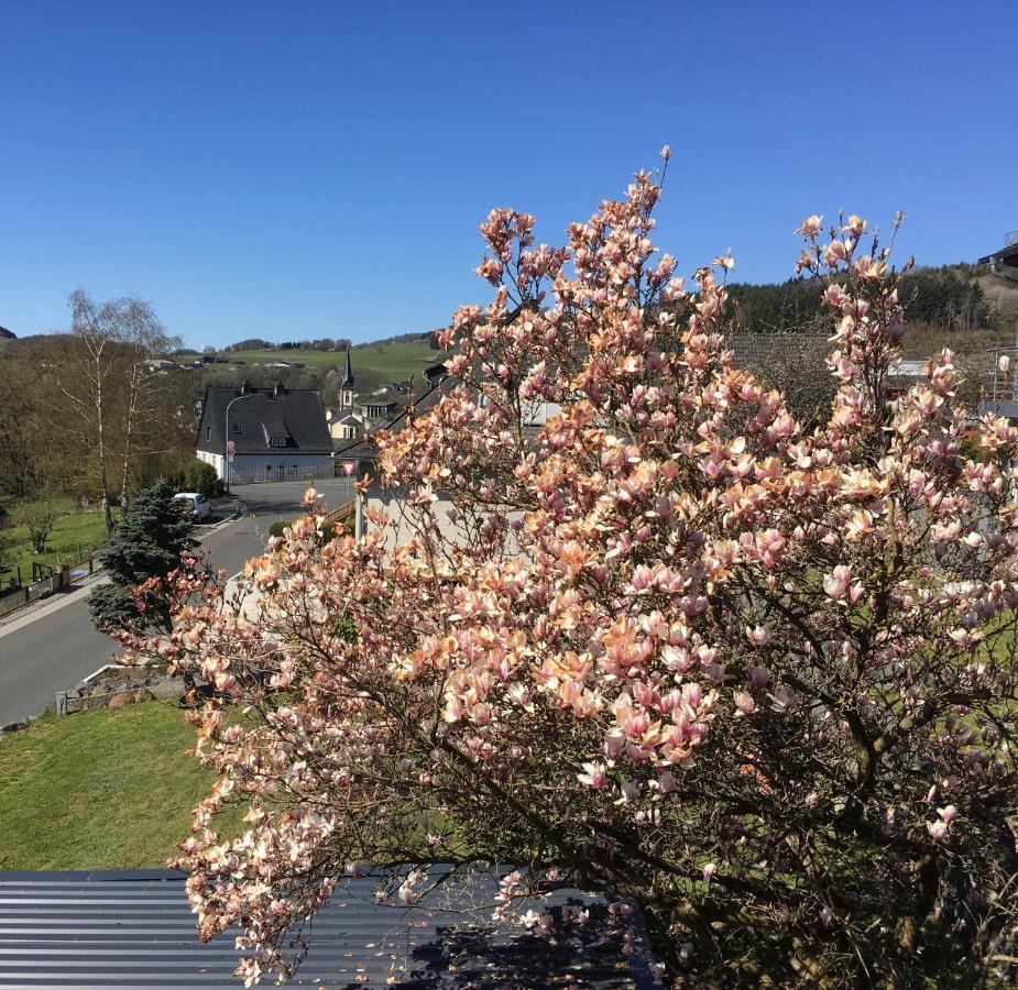Apartmenthaus Ruhezeit Bad Endbach Luaran gambar